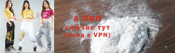 стаф Беломорск