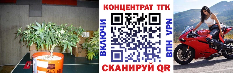 ТГК гашишное масло купить наркотики сайты Кимовск