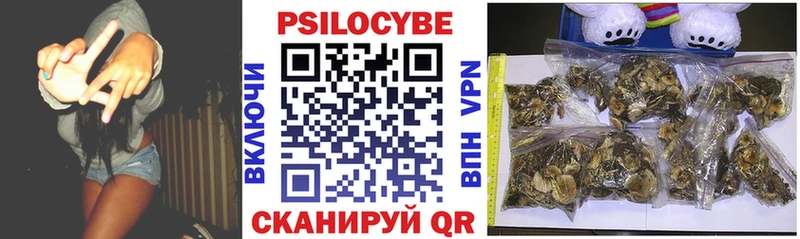 Псилоцибиновые грибы прущие грибы купить наркотики сайты Кимовск